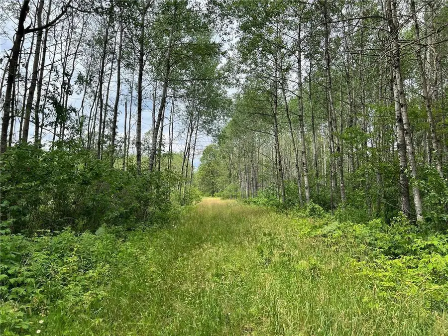 W37XX Frog Creek Road, Minong, WI 54859 - #2