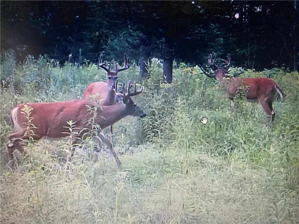 N3711 Cloverland Road, Ladysmith, WI 54848 - Image #1