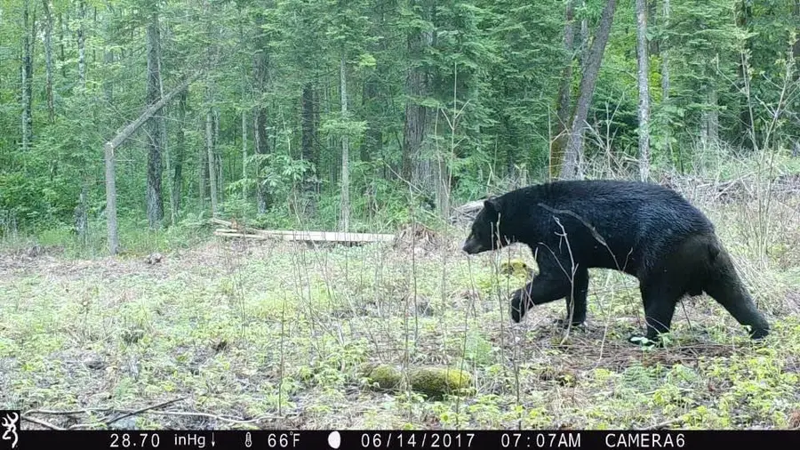 N3711 Cloverland Road, Ladysmith, WI 54848 - Image #3