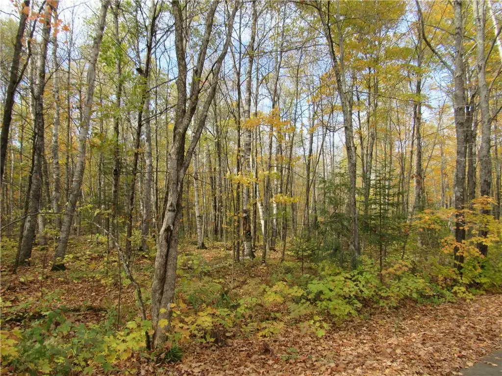 Lot 3 Scheers Road, Hayward, WI 54843 - #1