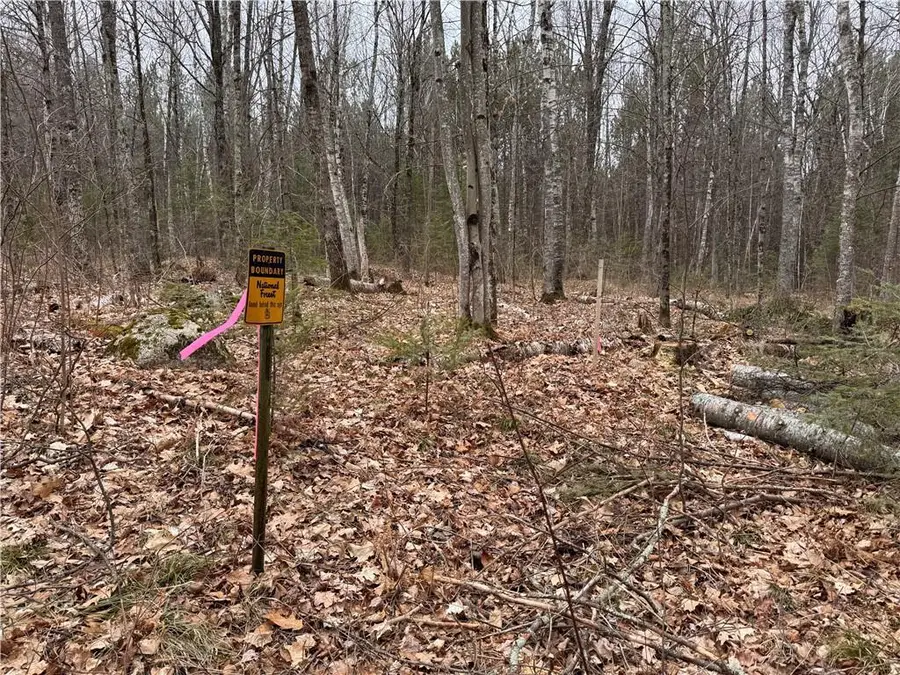 Lot 3 Scheers Road, Hayward, WI 54843 - #2