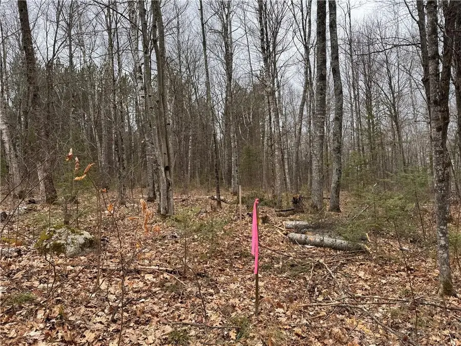 Lot 3 Scheers Road, Hayward, WI 54843 - #3