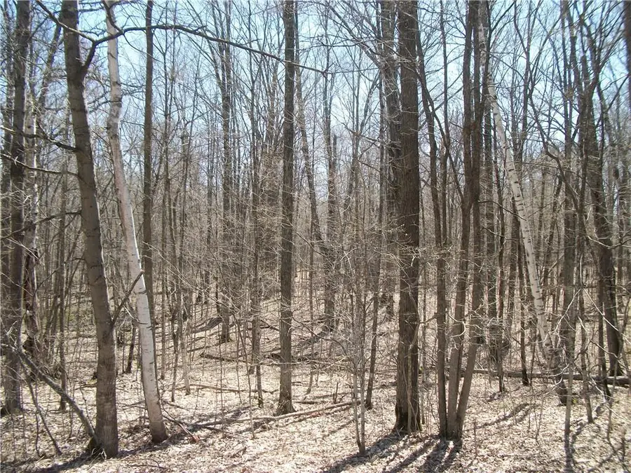 LOTS 26 & 29 Loch Lomond Boulevard, Birchwood, WI 54817 - Image #2