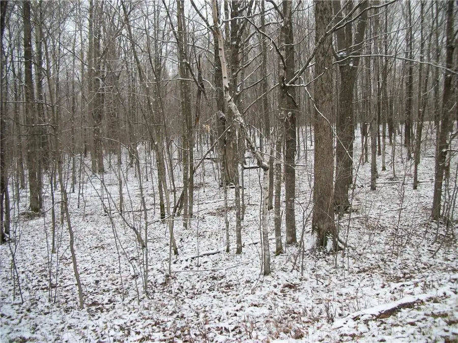 Lot #96 WOODS Avenue, Birchwood, WI 54817 - Image #2