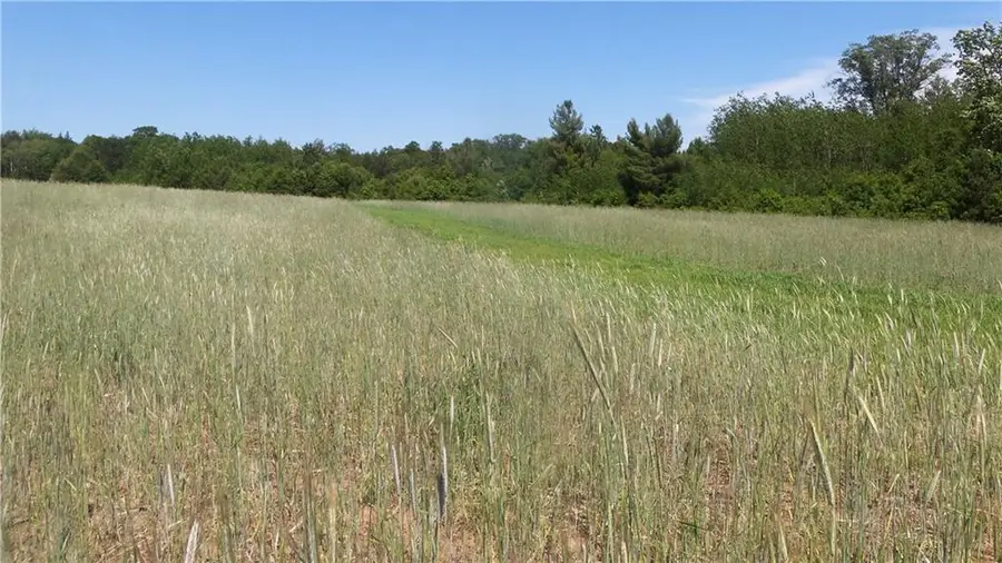 LOT 17 Red Maple Lane, Siren, WI 54872 - Image #3