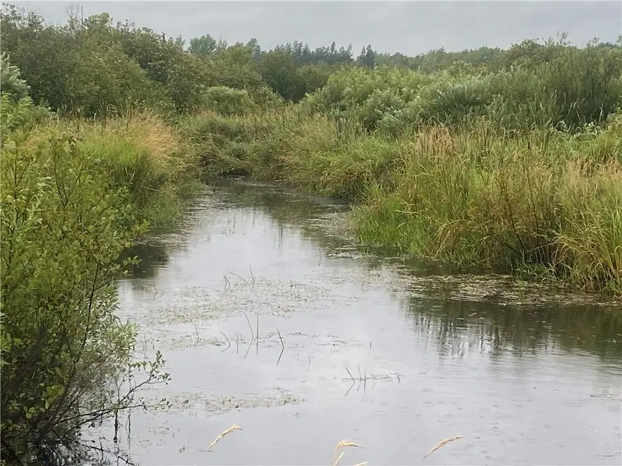 On Shauger Road, Ogema, WI 54459 - Image #3