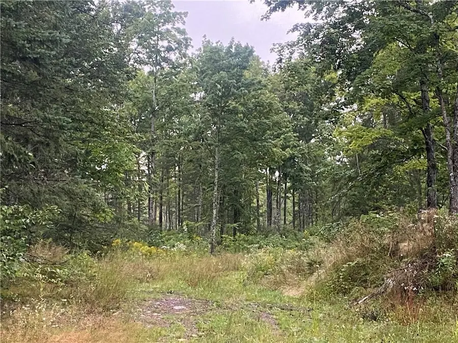 On Doland Road, Loretta, WI 54896 - Image #2