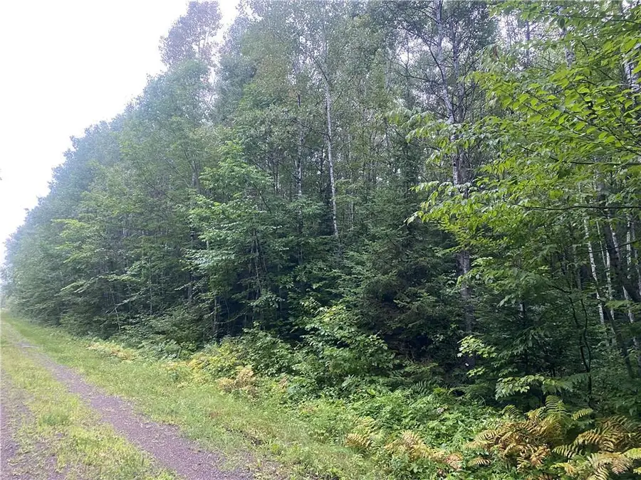 On Doland Road, Loretta, WI 54896 - Image #3