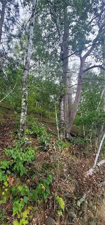 12029 Lot 4 E County Highway Y, Gordon, WI 54838 - Image #2