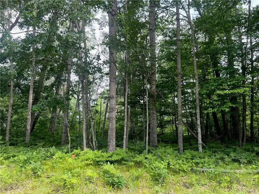 Lot 57 Spotted Fawn Road, Danbury, WI 54830 - Image #2