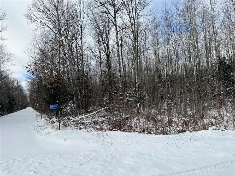 Lot 3 Uncle Toms Road, Loretta, WI 54896 - Image #2