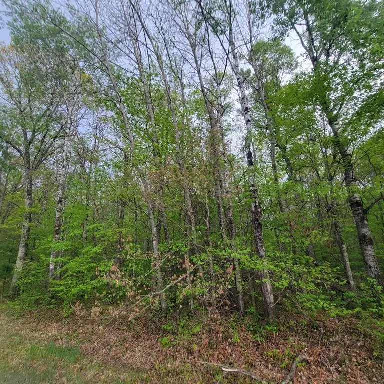 Lot 11 County Road A, Spooner, WI 54801 - Image #3