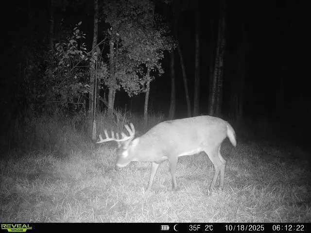 xxx Old 14 Road, Weyerhaeuser, WI 54895 - Image #2