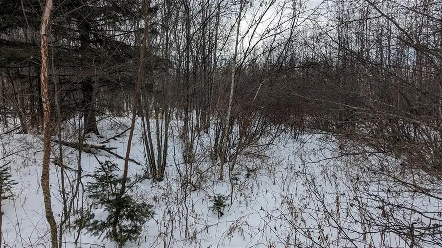 Lot 0 County Highway W, Winter, WI 54896 - Image #2