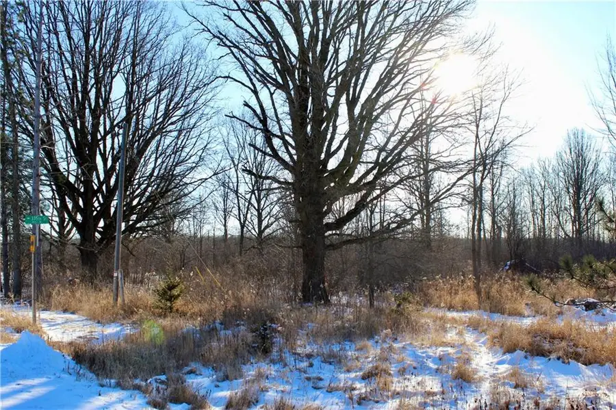 0 300th Avenue, Holcombe, WI 54745 - Image #2