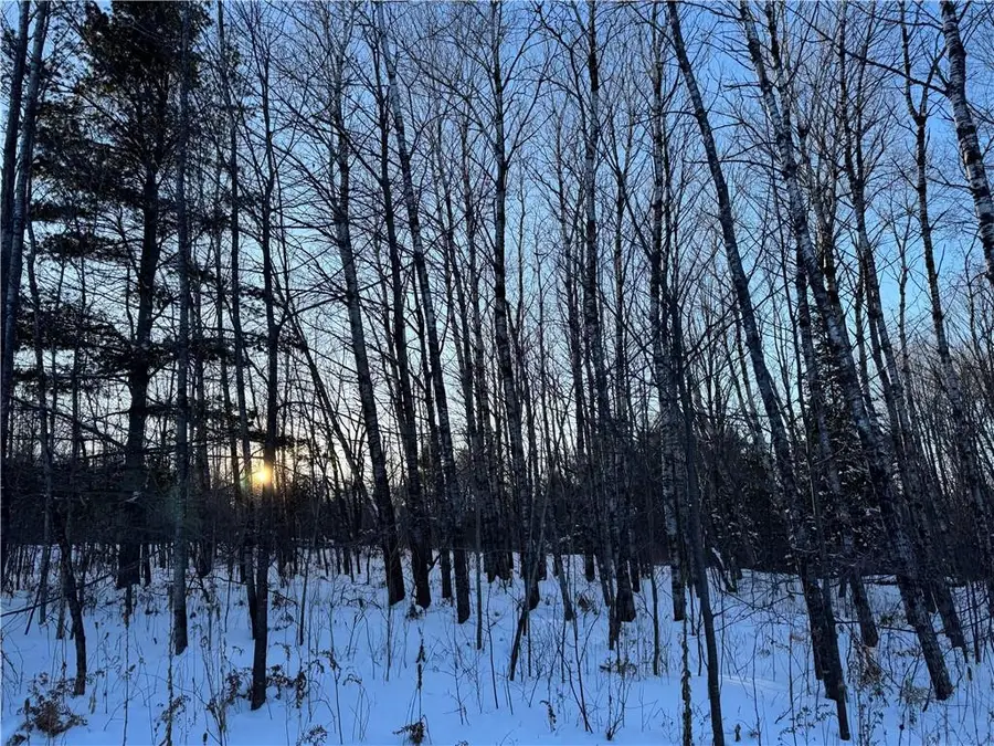 Off 220th Street, Cornell, WI 54732 - Image #3