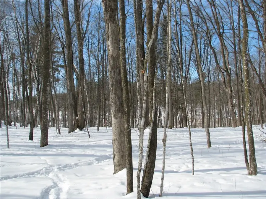 LOT #87 MAPLE Way, Birchwood, WI 54817 - Image #2