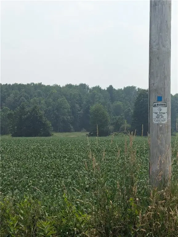 Lot 3 County Highway W, Ruby, WI 54754 - Image #1