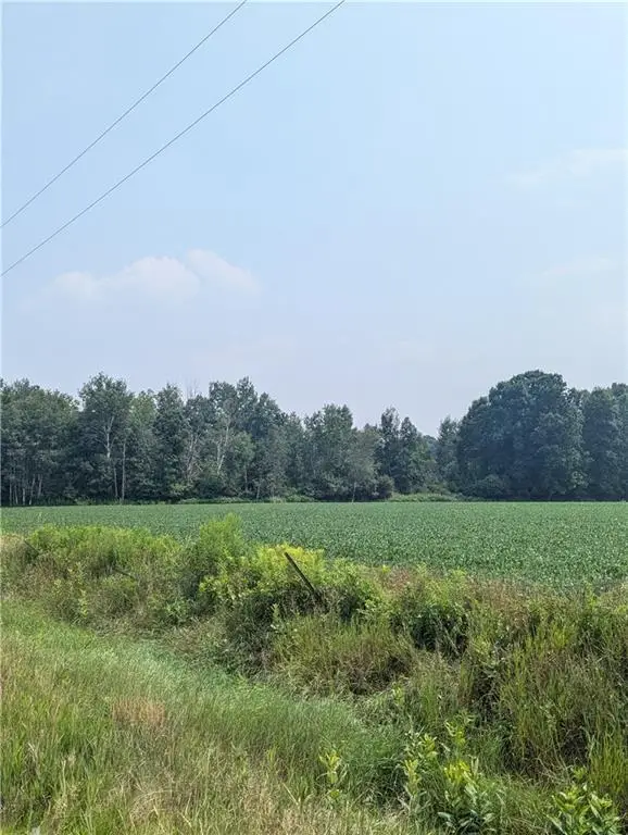Lot 3 County Highway W, Ruby, WI 54754 - Image #3