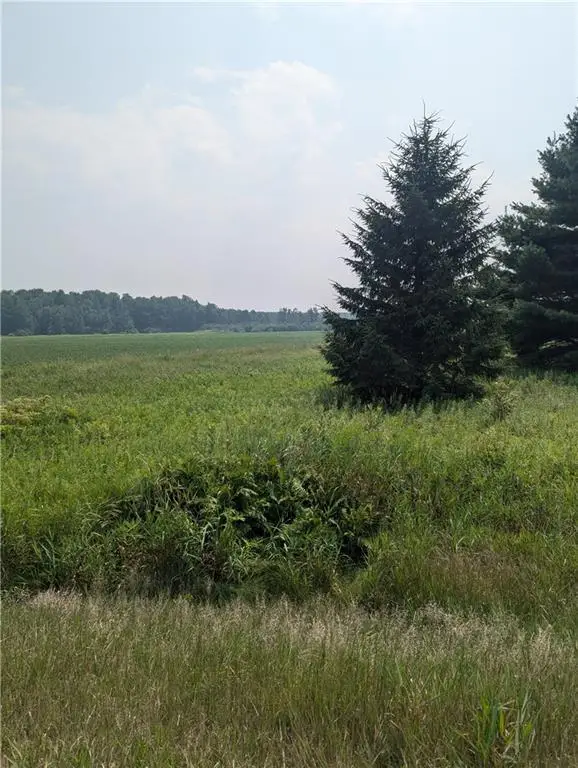 Lot 4 County Highway W, Holcombe, WI 54745 - Image #1