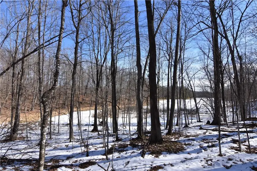 0 290th Avenue, New Auburn, WI 54757 - Image #3