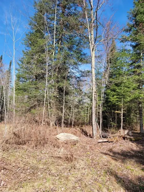 On Luds Lane, Loretta, WI 54896 - Image #3