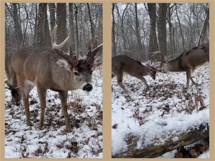 70455 Hoover Line Road, Iron River, WI 54847 - Image #2