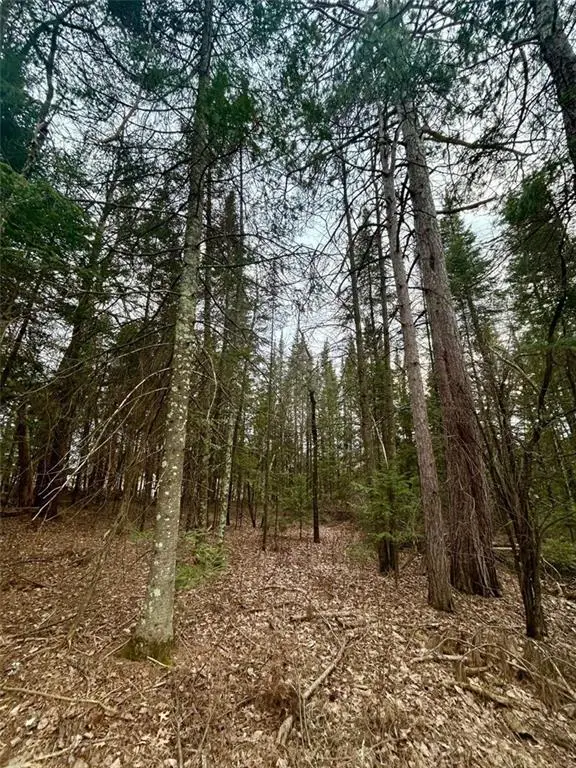 0 Airport Road, Hayward, WI 54843 - Image #2