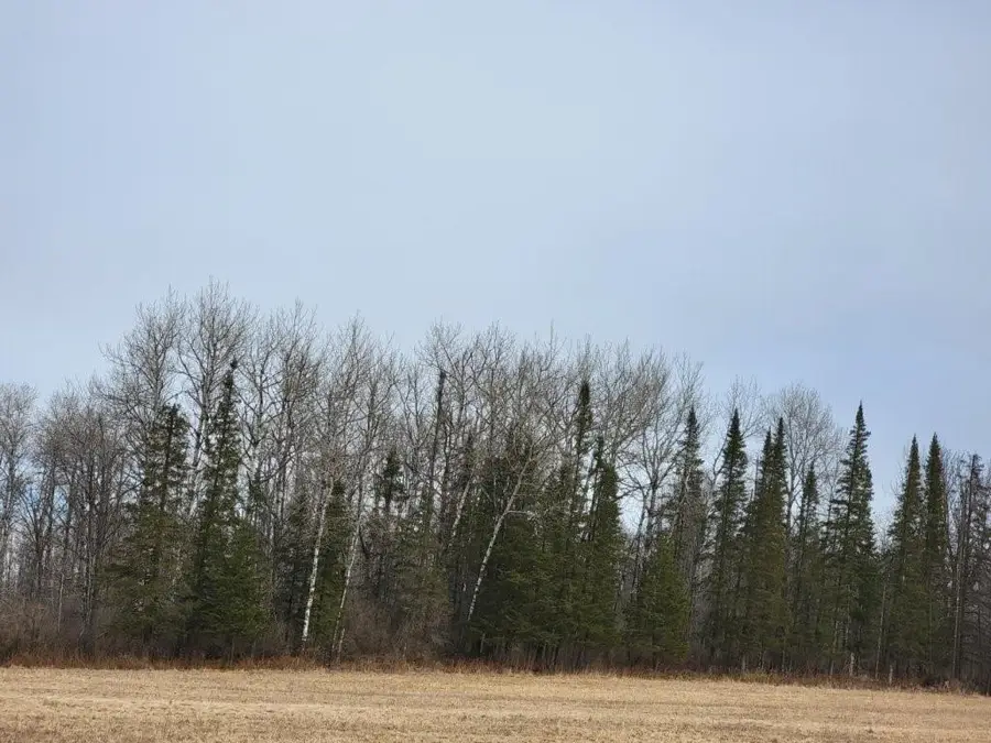 On Townline Road, Ojibwa, WI 54862 - Image #2