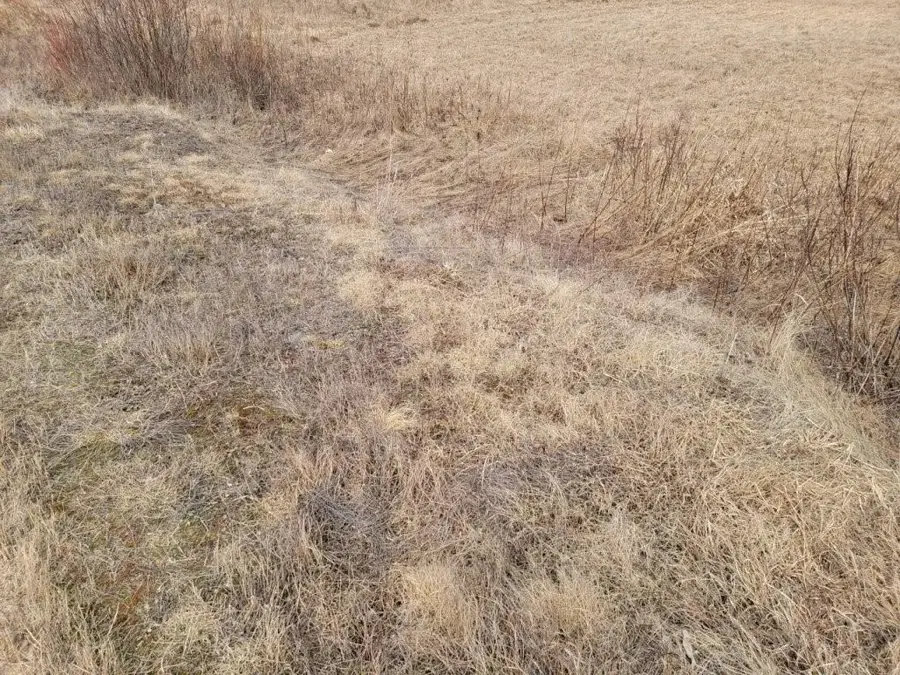 On Townline Road, Ojibwa, WI 54862 - Image #3