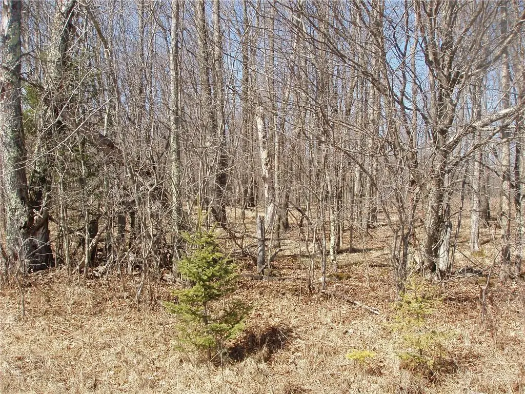 Lot 14 4th Add. Margaret Lane, Park Falls, WI 54552 - Image #1