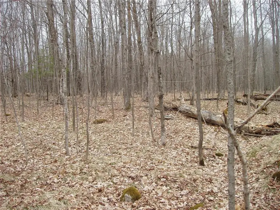 Lot 1 4th Add. Margaret Lane, Park Falls, WI 54552 - Image #2