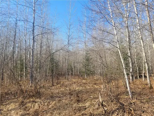 Near Knowles Road, Loretta, WI 54896