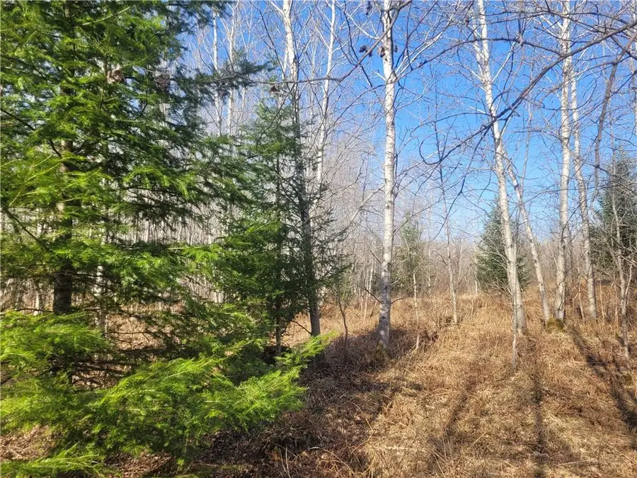 Near Knowles Road, Loretta, WI 54896 - Image #2