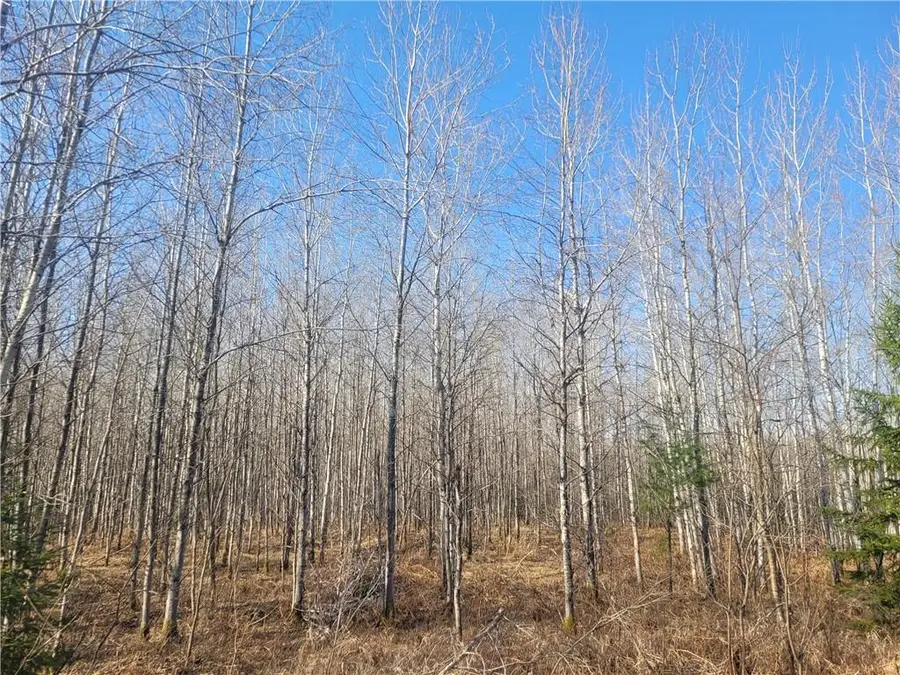 Near Knowles Road, Loretta, WI 54896 - Image #3