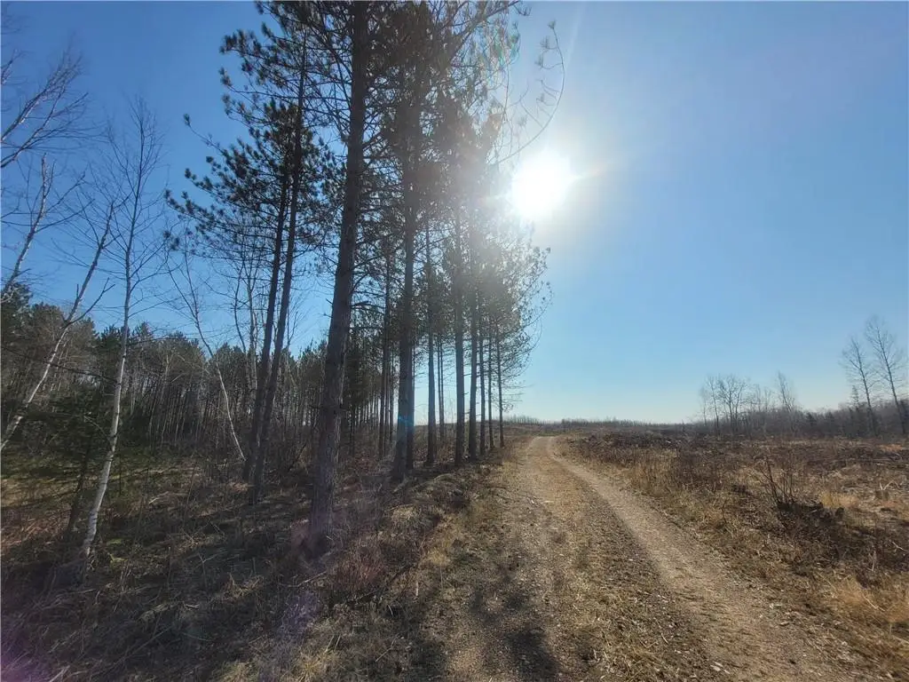 Near Knowles Road, Loretta, WI 54896 - Image #1