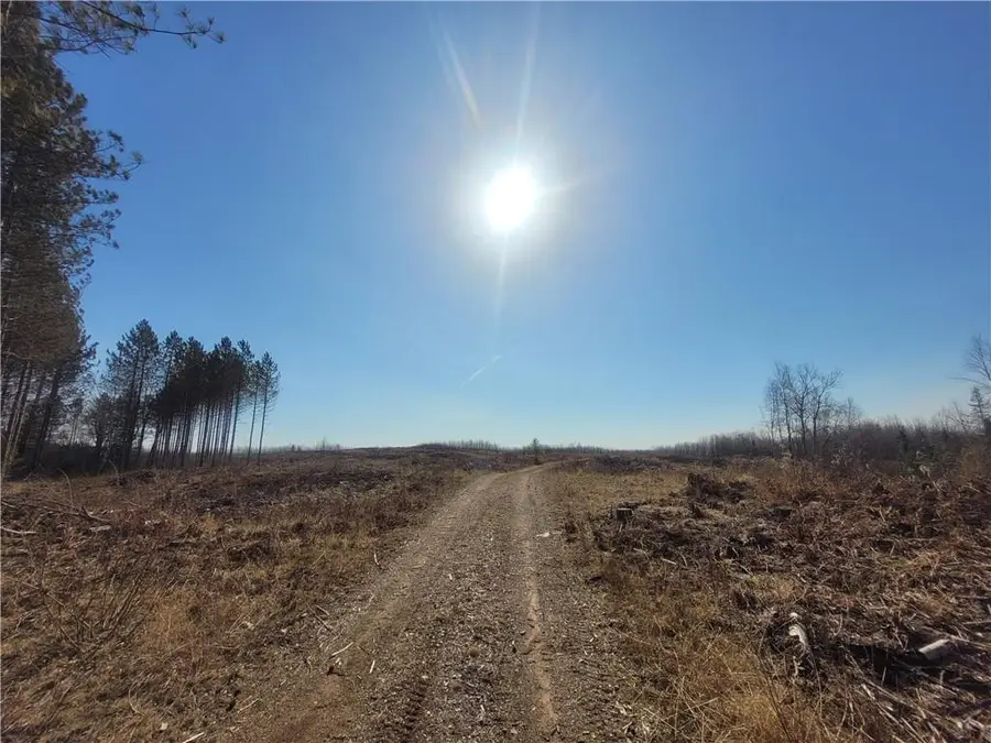 Near Knowles Road, Loretta, WI 54896 - Image #3