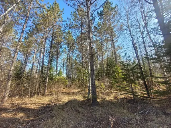 Near Knowles Road, Loretta, WI 54896