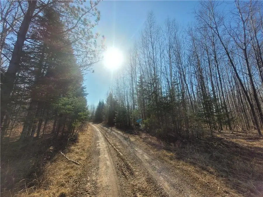 Near Knowles Road, Loretta, WI 54896 - Image #2