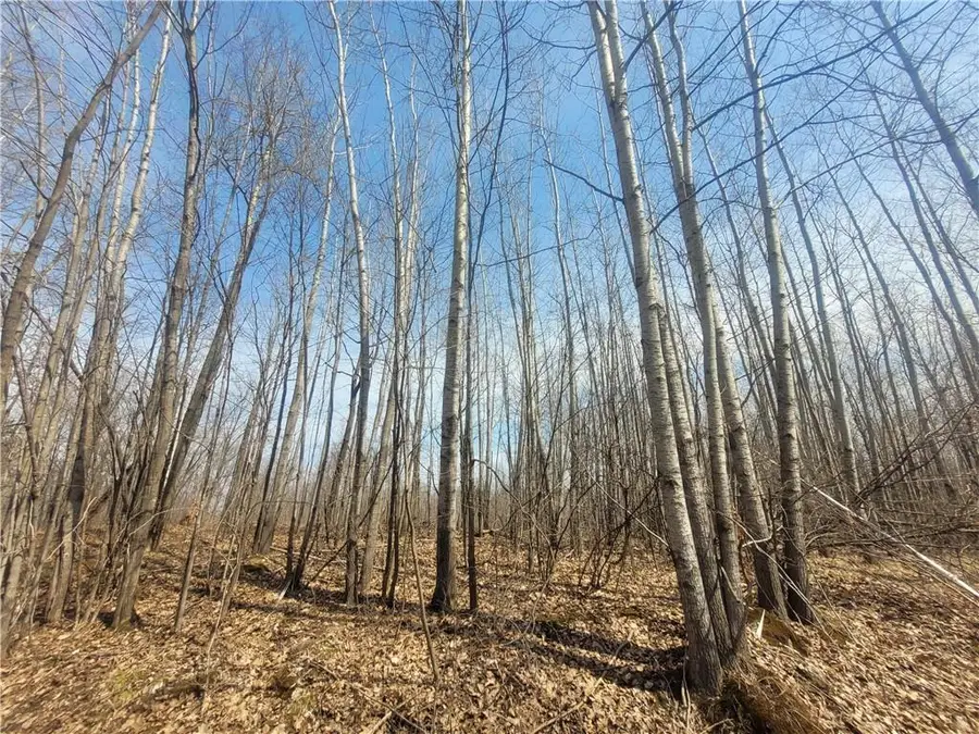 On Dean Road, Ladysmith, WI 54848 - Image #2