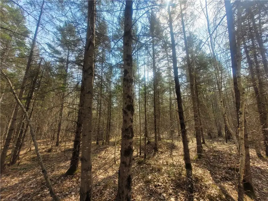 On Dean Road, Ladysmith, WI 54848 - Image #3