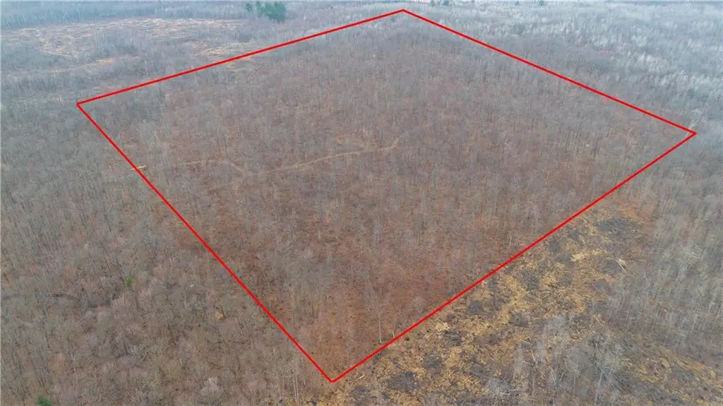 40 Acres Dickerson Avenue, Thorp, WI 54771 - Image #1