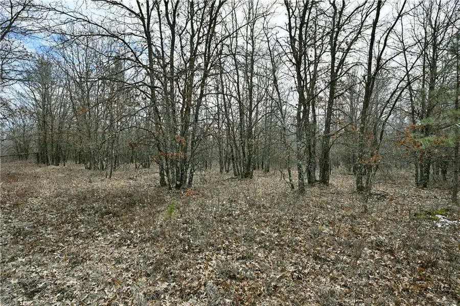 40 Acres East Flowage Road, Spooner, WI 54801 - Image #2