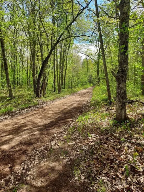 64100 E Ruth Lake Road, Iron River, WI 54847 - Image #3