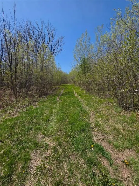 00 4th, Clayton, WI 54004 - Image #3