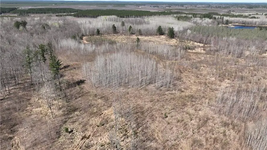 XX E Beauregard Lake Road, Solon Springs, WI 54873 - Image #2