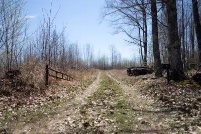 XXX E Beauregard Lake Road, Gordon, WI 54838