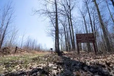 XXX E Beauregard Lake Road, Gordon, WI 54838 - Image #3