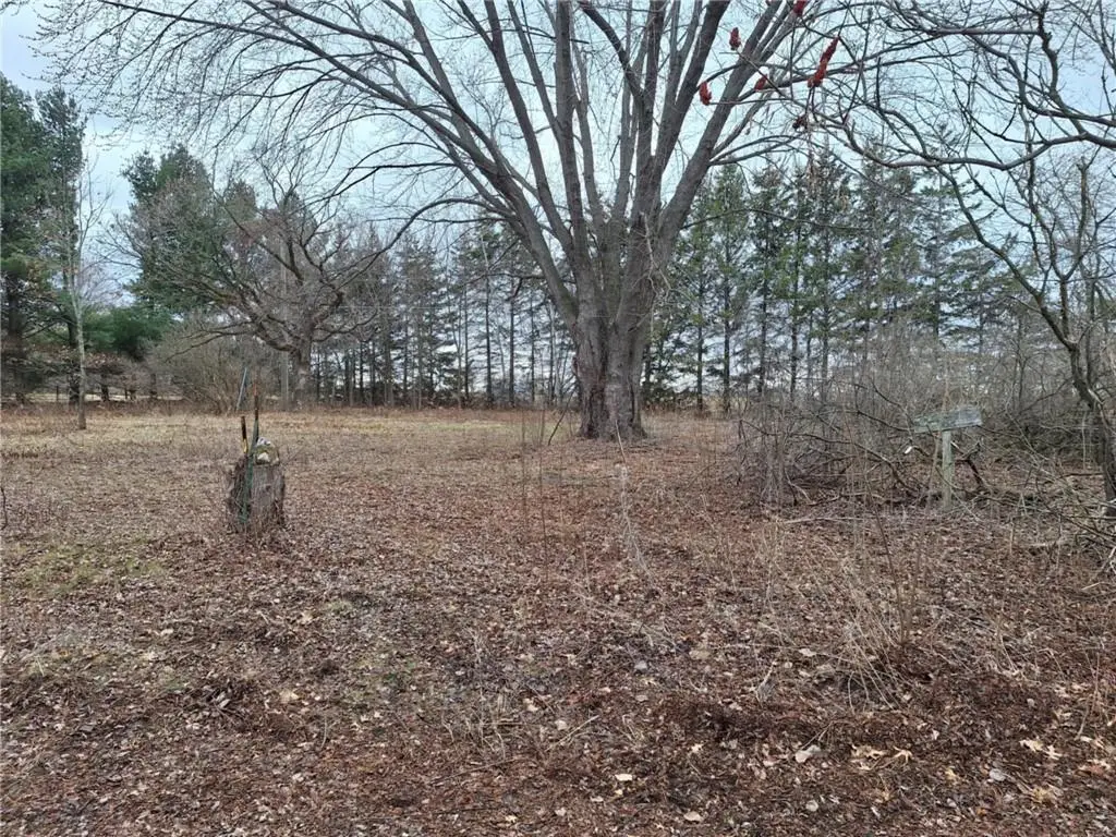 0 164th Street, Chippewa Falls, WI 54729 - Image #1