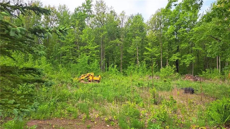 N5009 Degenaar Drive, Spooner, WI 54801 - Image #3